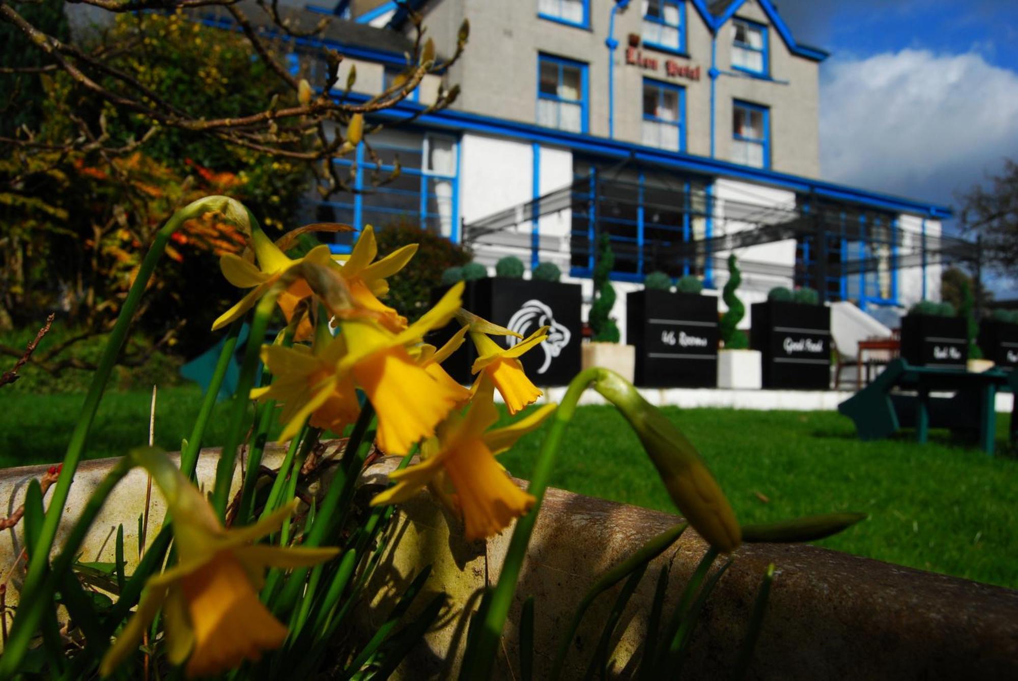 Lion Hotel & Studio Apartments Criccieth Exteriör bild